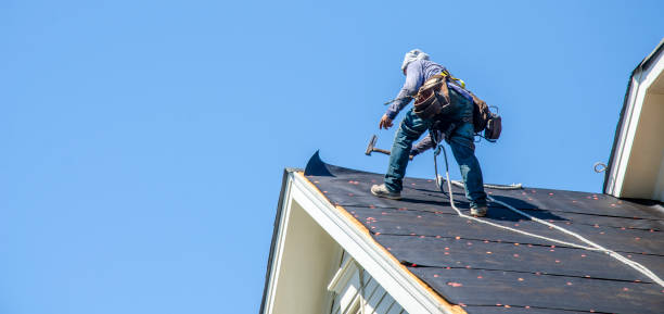 Best Roof Leak Repair  in Rockport, IN